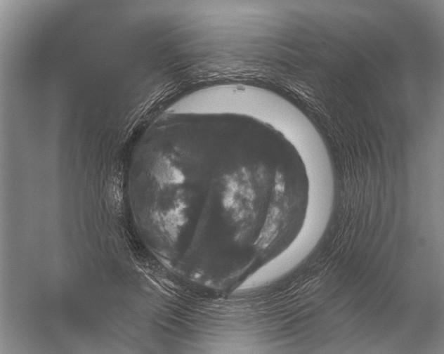 X0000056330691200509232013