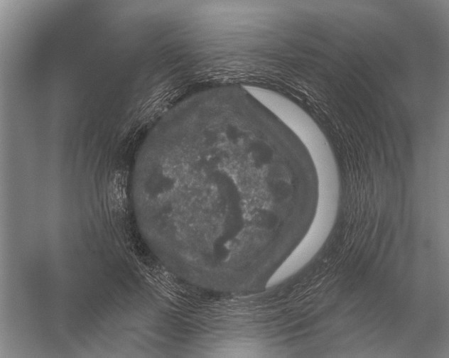 X0000056330695200509232013