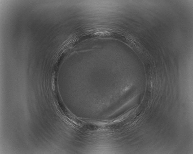 X0000056330696200509232013