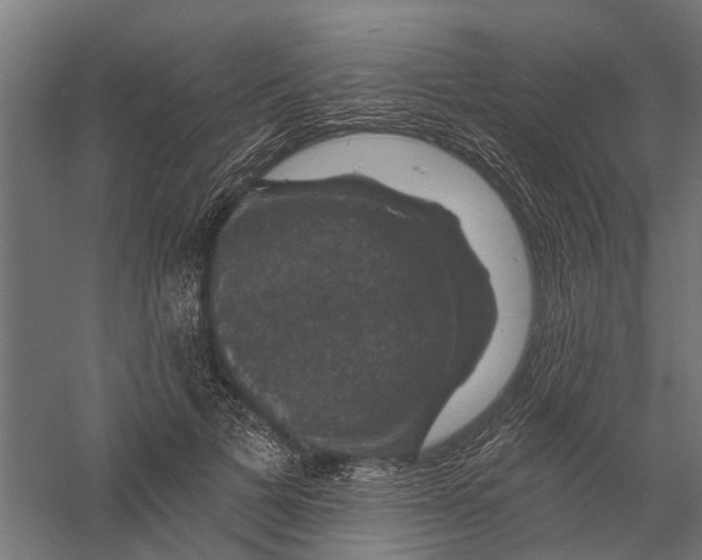 X0000056330697200509232013