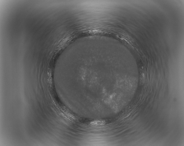 X0000056330700200509232013