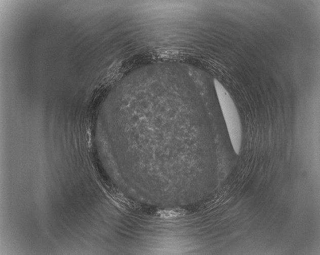 X0000056330703200509232013