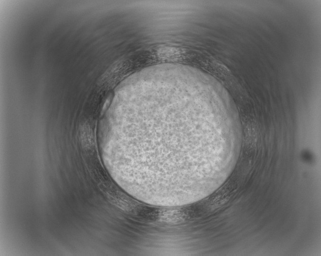 X0000056330705200509232013