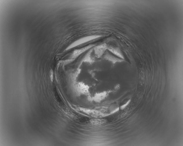 X0000056330707200509232013