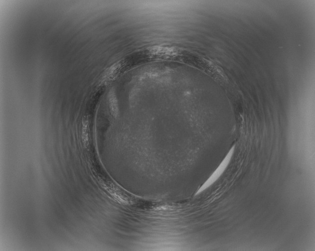 X0000056330708200509232013