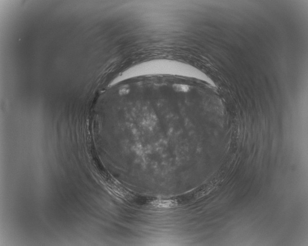 X0000056330711200509232013