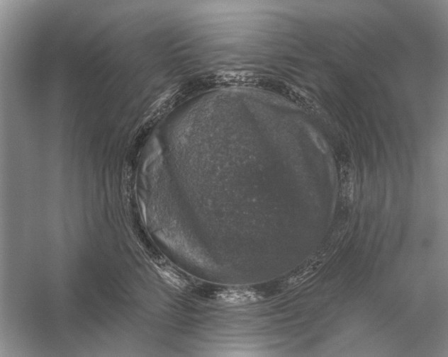 X0000056330712200509232013