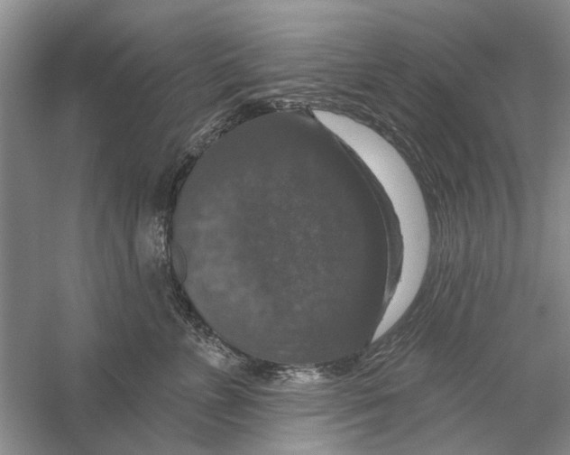 X0000056330715200509232013