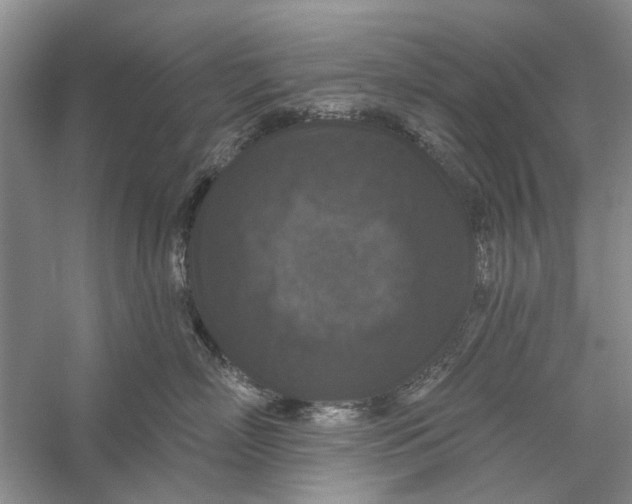 X0000056330718200509232013