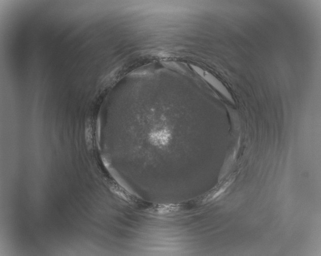 X0000056330720200509232013