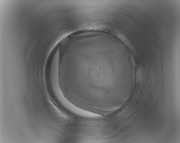 X0000056330722200509232012