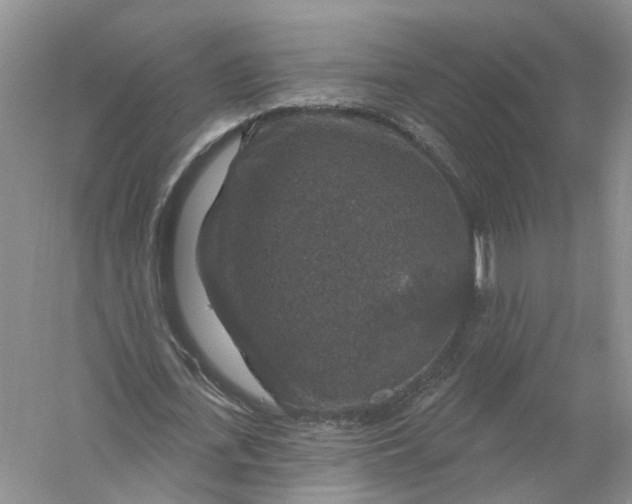 X0000056330723200509232012