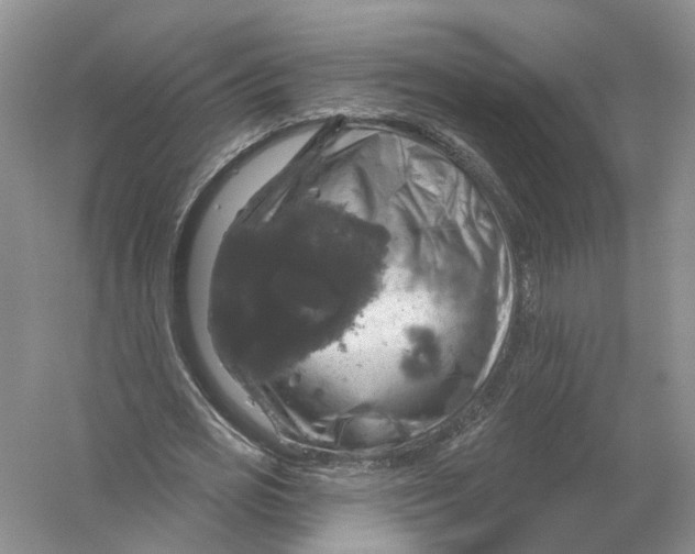 X0000056330725200509232012