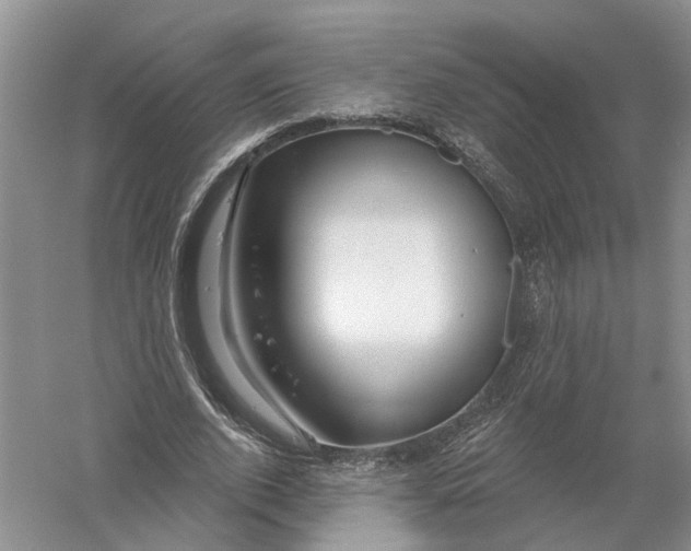 X0000056330728200509232012