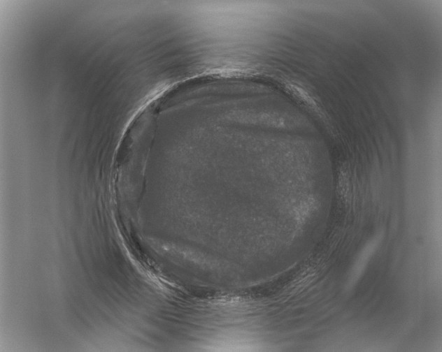 X0000056330730200509232012