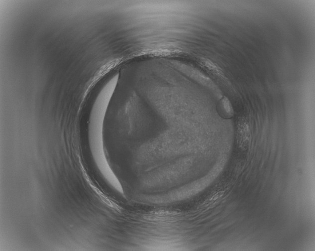 X0000056330734200509232012