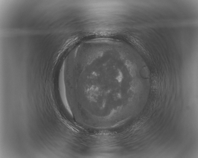 X0000056330738200509232012