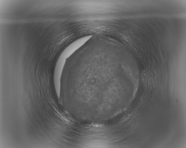 X0000056330741200509232012