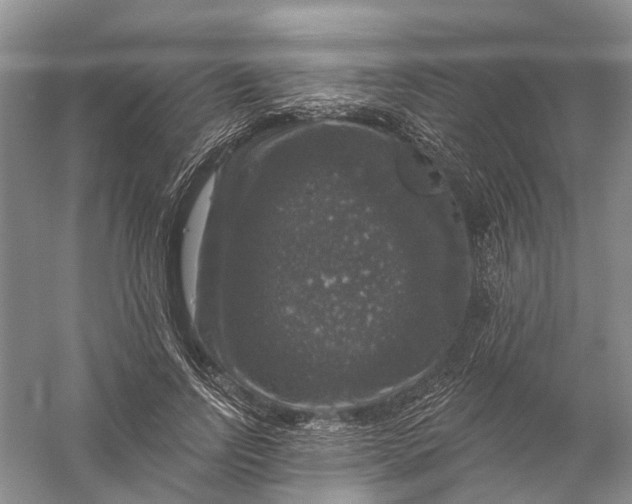 X0000056330742200509232012