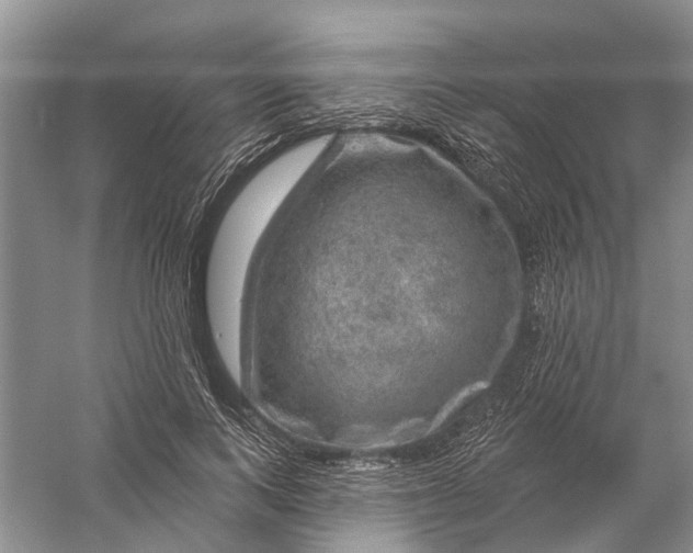 X0000056330743200509232012