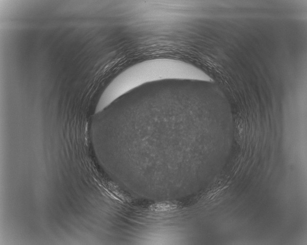 X0000056330745200509232012