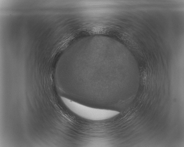 X0000056330746200509232012