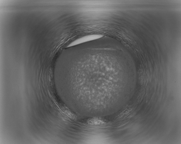 X0000056330747200509232012