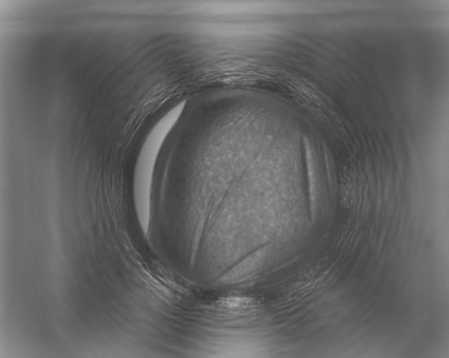 X0000056330748200509232012