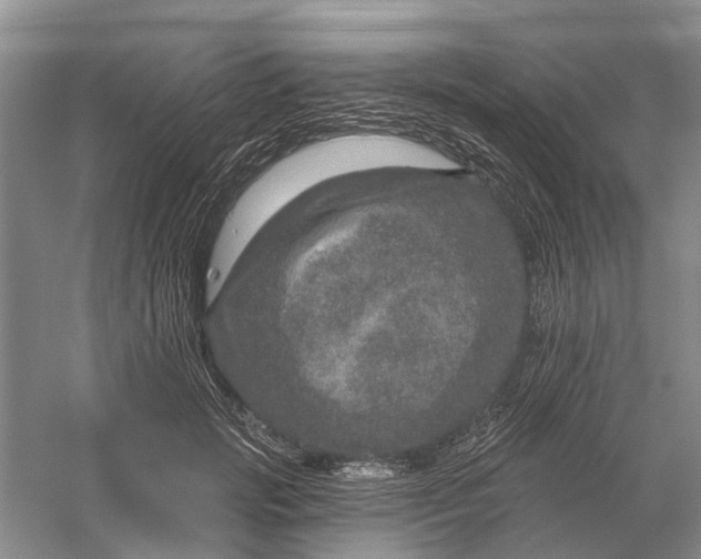 X0000056330749200509232012