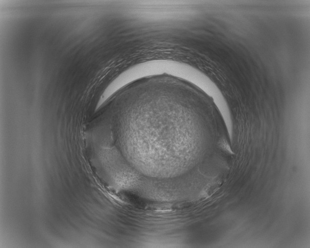 X0000056330750200509232012