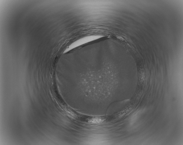 X0000056330759200509232012