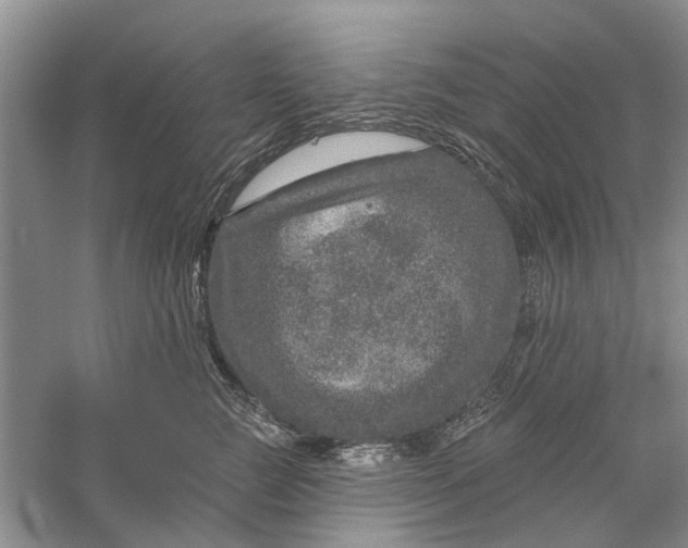 X0000056330761200509232012