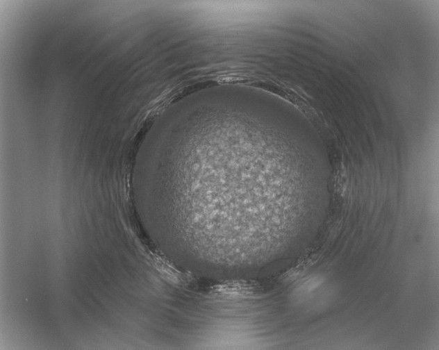 X0000056330763200509232012