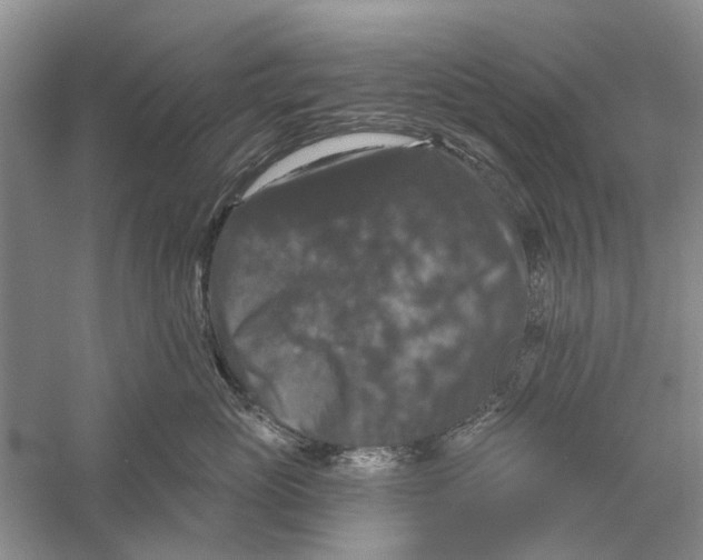 X0000056330765200509232013