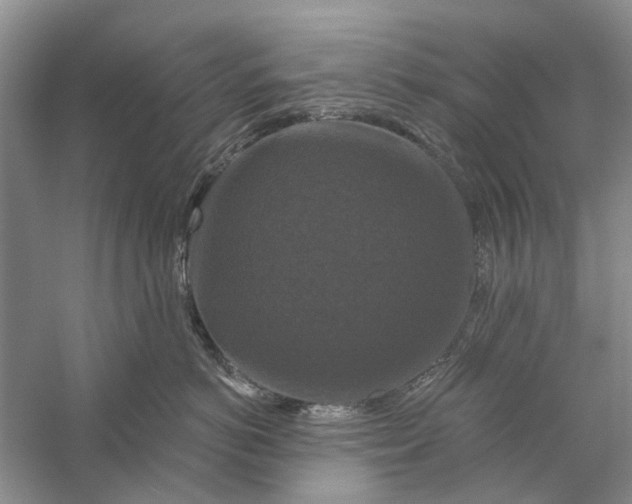 X0000056330766200509232013