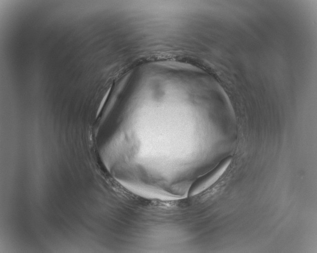 X0000056330768200509232013