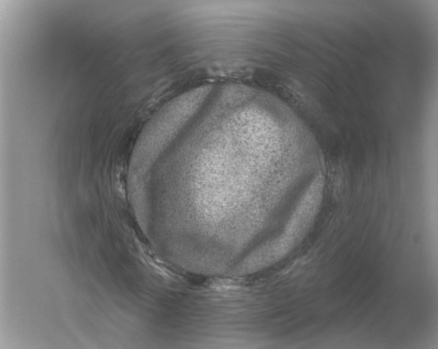 X0000056330770200509232012