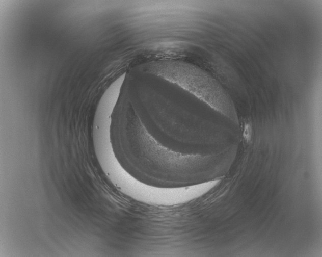 X0000056330771200509232012