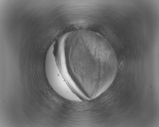 X0000056330772200509232012