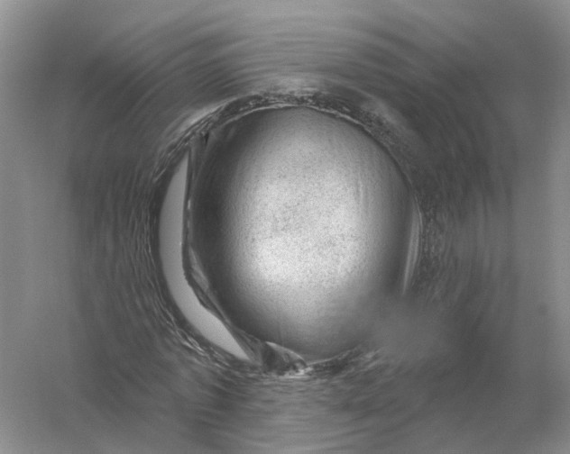 X0000056330773200509232012