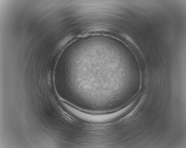 X0000056330777200509232012