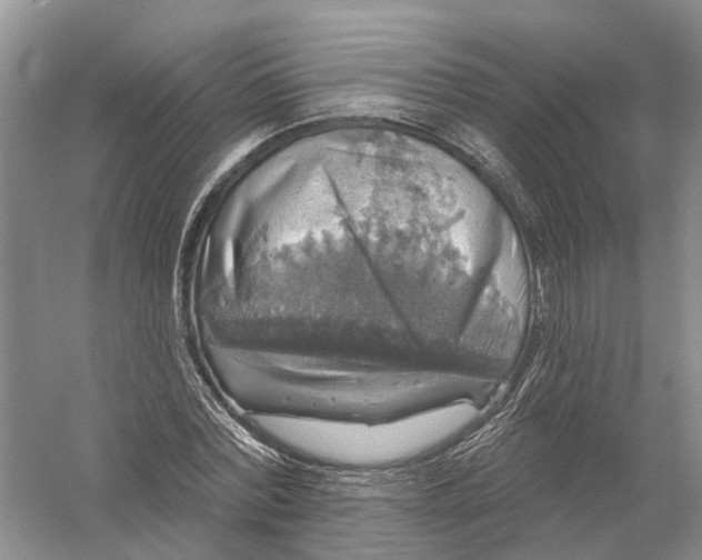 X0000056330780200509232012