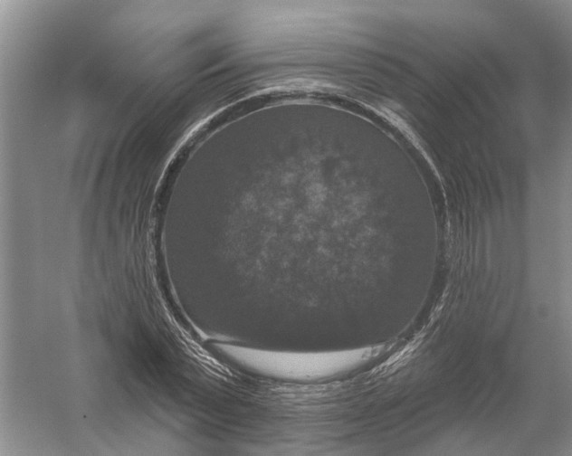 X0000056330783200509232012