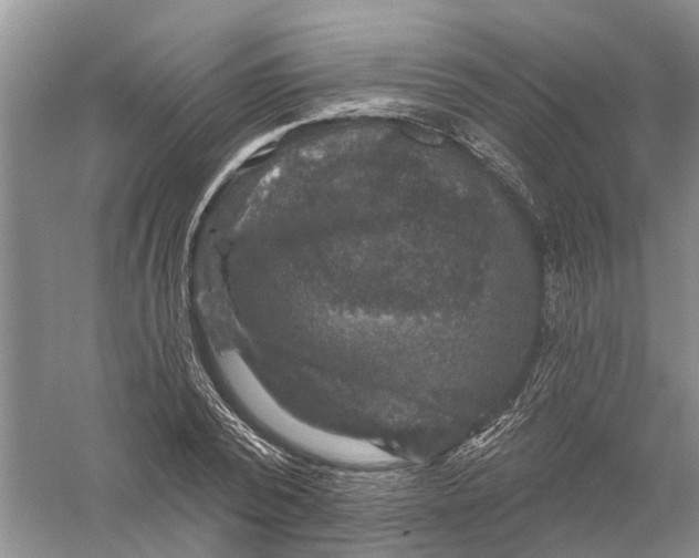 X0000056330784200509232012