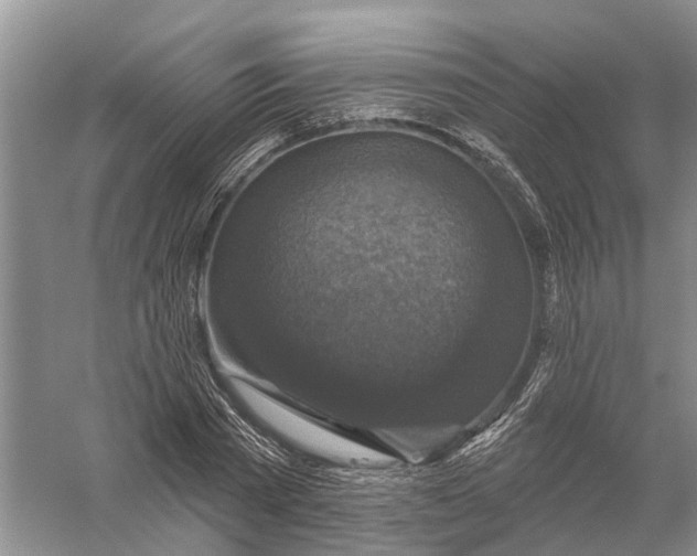 X0000056330785200509232011