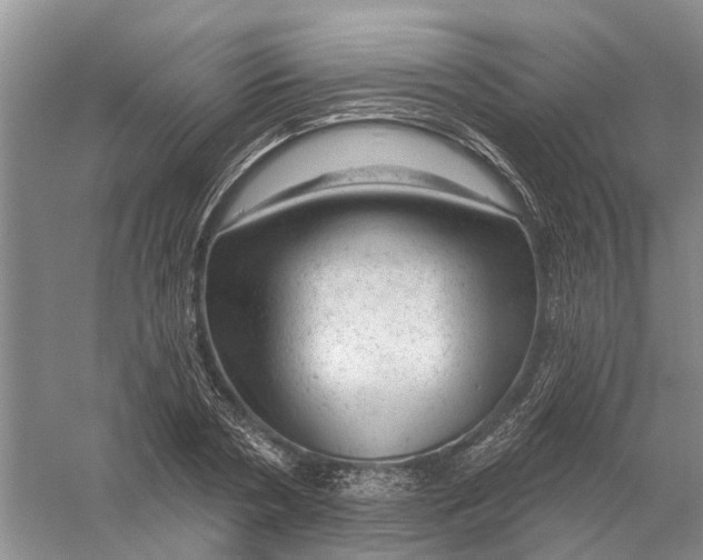 X0000056330786200509232011