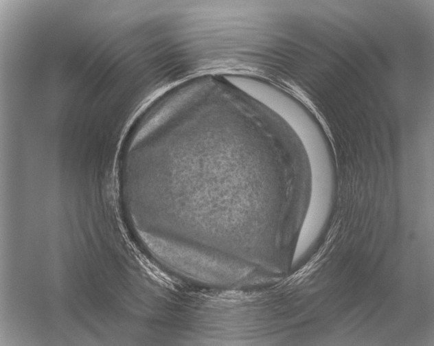 X0000056330787200509232011