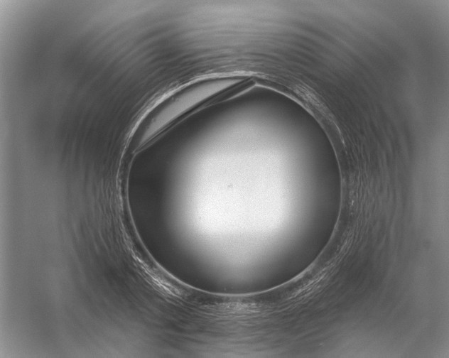 X0000056330789200509232011