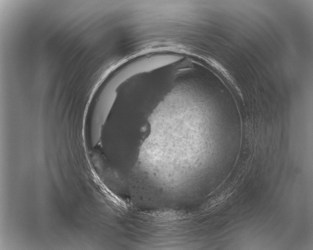 X0000056330791200509232011