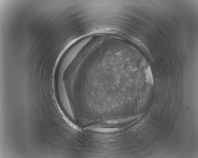 X0000056330792200509232011